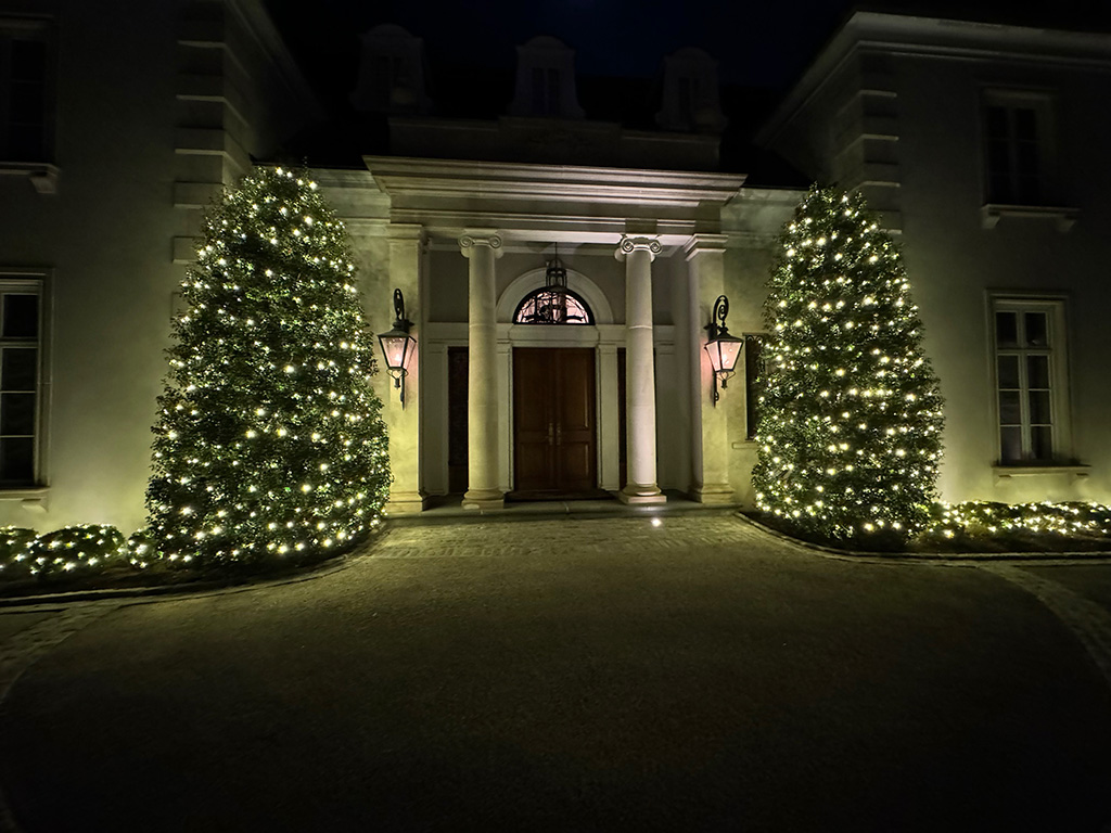 Main Line Christmas Lights - Trees at Main Entrance